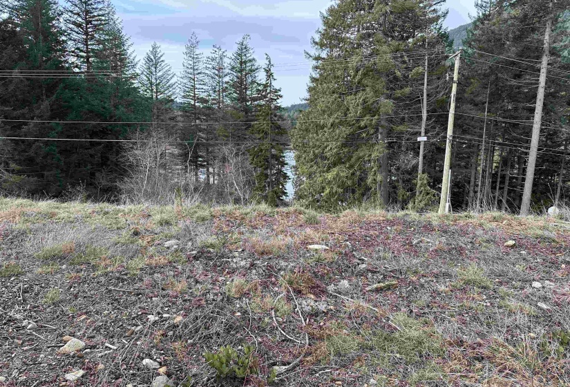857 FORSTER LANE, Bowen Island, British Columbia, ,Land Only,For Sale,FORSTER,R2854799