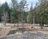 857 FORSTER LANE, Bowen Island, British Columbia, ,Land Only,For Sale,FORSTER,R2854799