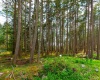 Lot 9 HAYES ROAD, Bowen Island, British Columbia, ,Land Only,For Sale,HAYES,R2863750