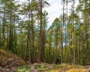 Lot 5 HAYES ROAD, Bowen Island, British Columbia, ,Land Only,For Sale,HAYES,R2864141