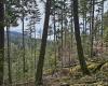 Lot 6 HAYES ROAD, Bowen Island, British Columbia, ,Land Only,For Sale,HAYES,R2864146