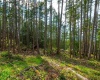 Lot 3 HAYES ROAD, Bowen Island, British Columbia, ,Land Only,For Sale,HAYES,R2864206
