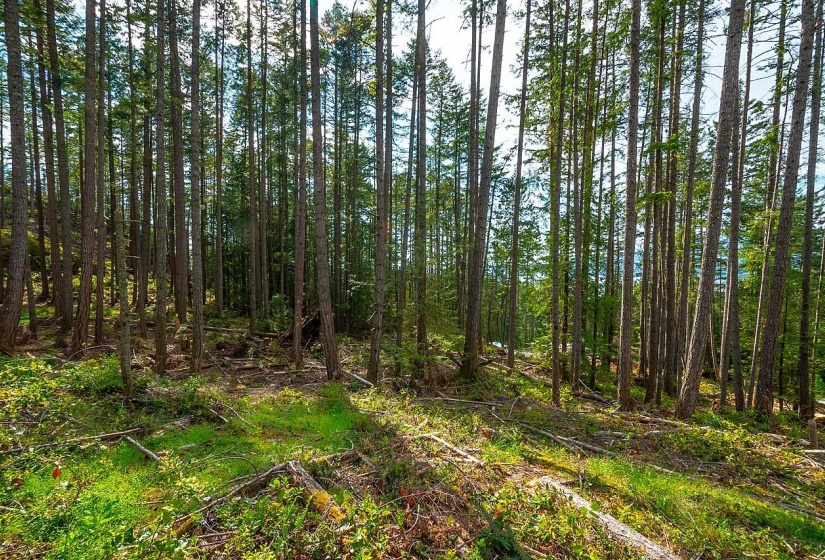 Lot 3 HAYES ROAD, Bowen Island, British Columbia, ,Land Only,For Sale,HAYES,R2864206